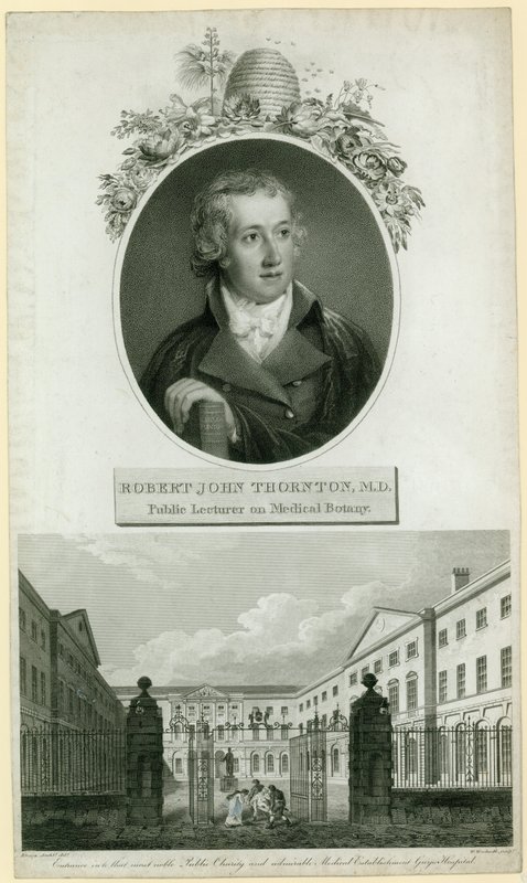 Professor John Thornton, Openbare Docent in Medische Botanica door English School