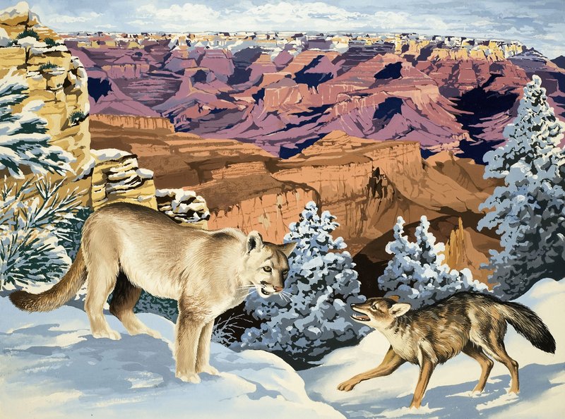 Puma en Coyote ontmoeten elkaar in het Grand Canyon National Park door English School