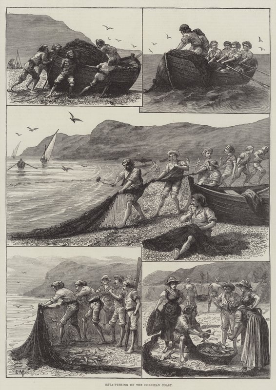 Reta-vissen aan de Corsicaanse kust (gravure) door English School