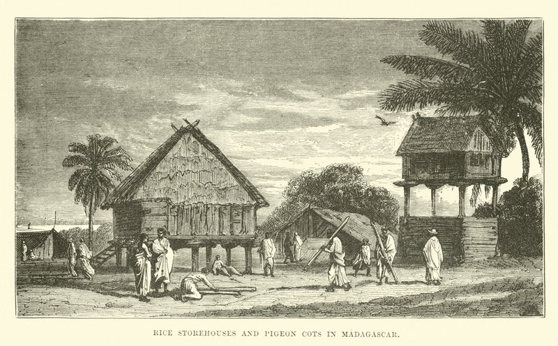 Rijstschuren en duiventillen in Madagaskar door English School