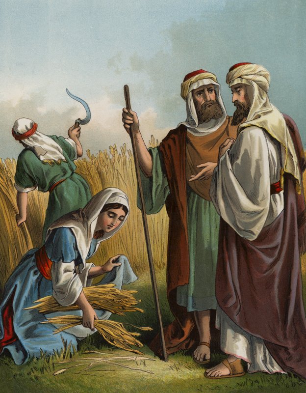 Ruth die aren raapt in het veld van Boaz door English School