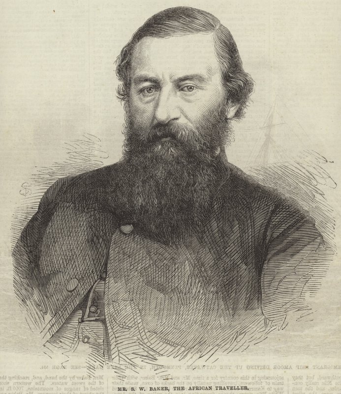Samuel White Baker door English School