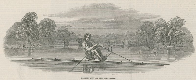 Siamese boot op de Serpentine, Hyde Park, Londen door English School
