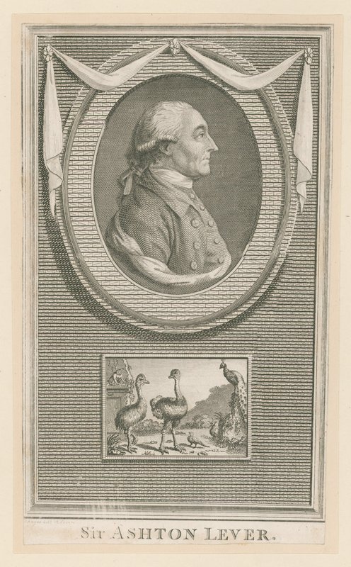 Sir Ashton Lever door English School