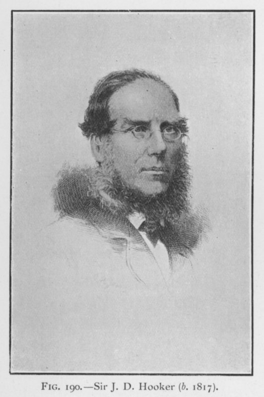 Sir Joseph Dalton Hooker (1817-1911), portret door English School