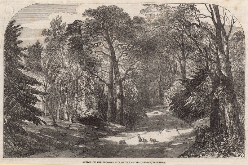 Schets van de voorgestelde locatie van het Crystal Palace, Sydenham door English School