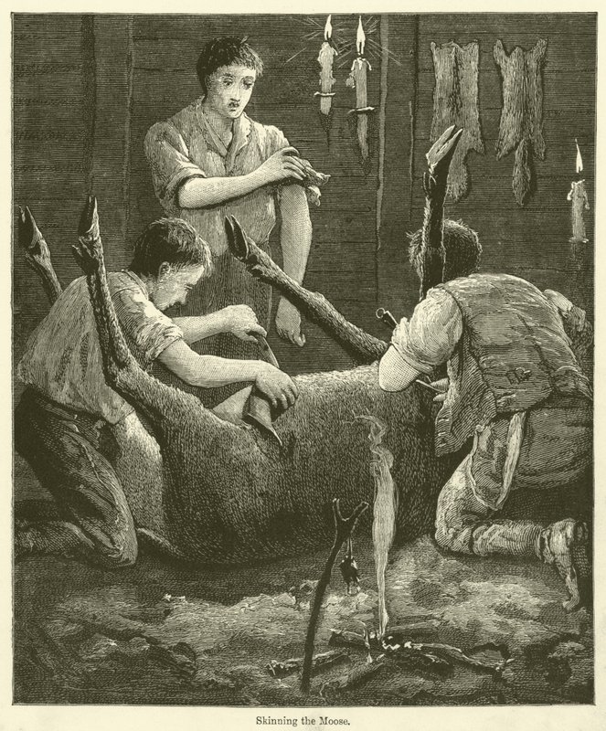 Het villen van de eland (gravure) door English School