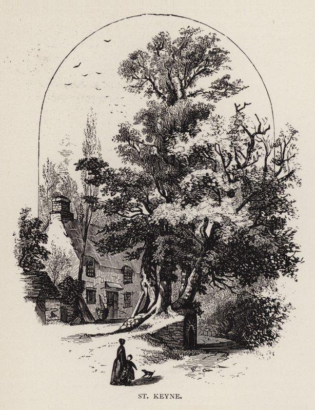 St Keyne (gravure) door English School