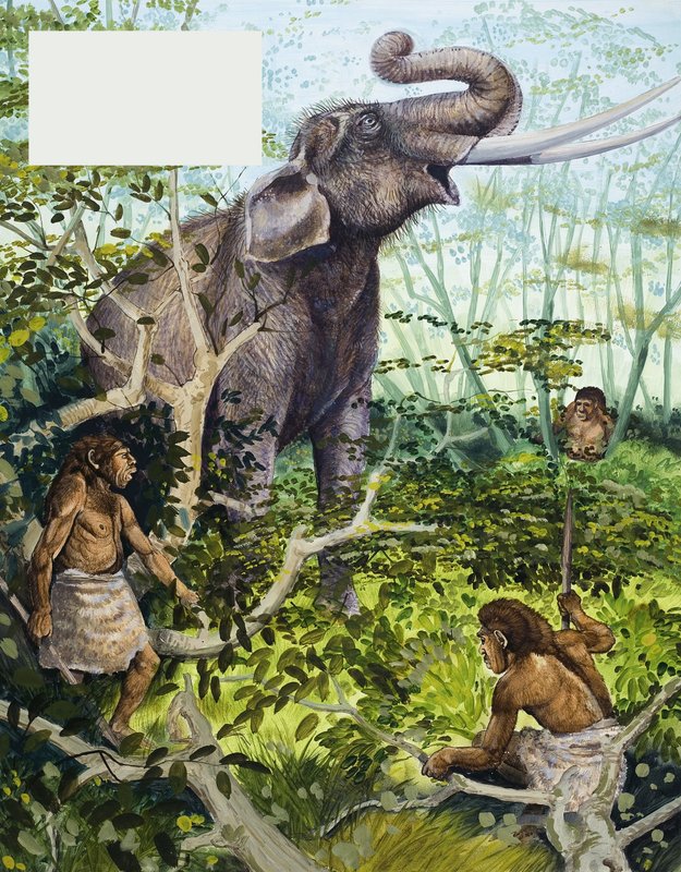 Steentijdman en olifant door English School