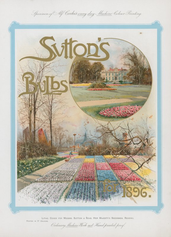 Suttons Bollen voor 1896 door English School