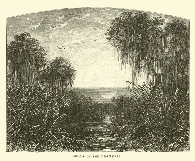 Moeras aan de Mississippi door English School