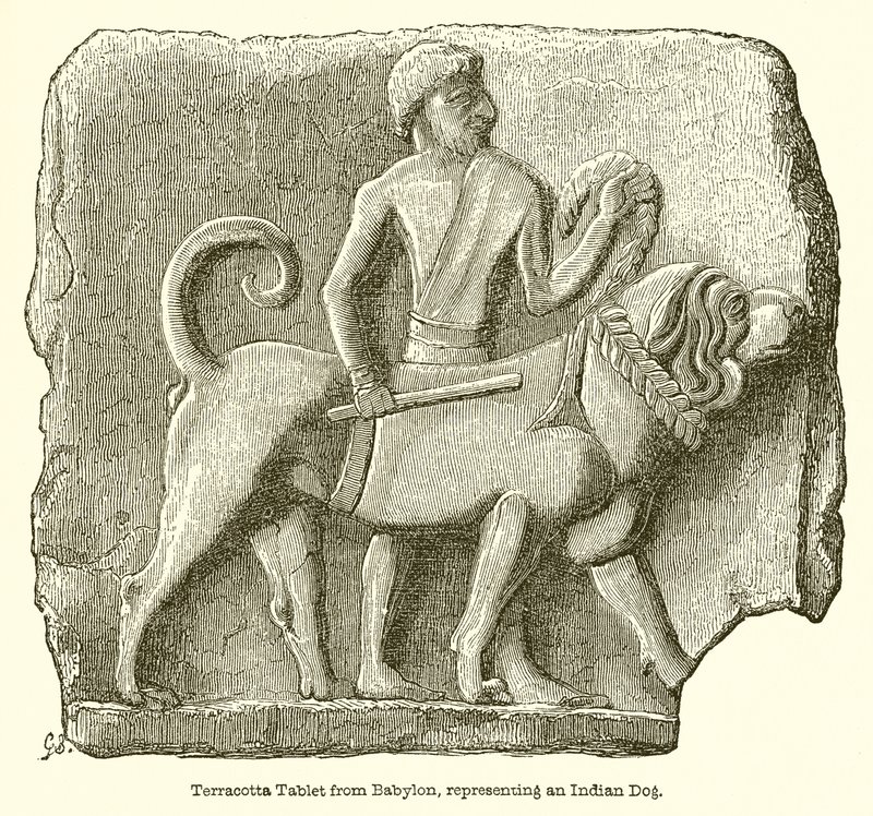 Terracotta tablet uit Babylon, voorstellende een Indiase hond door English School