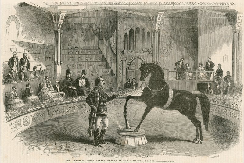 Het Amerikaanse paard Black Eagle in het Alhambra Palace (Alhambra Theater), Leicester Square, Londen door English School