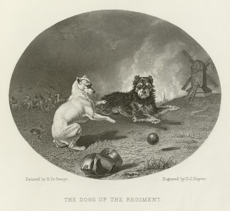 De honden van het regiment door English School