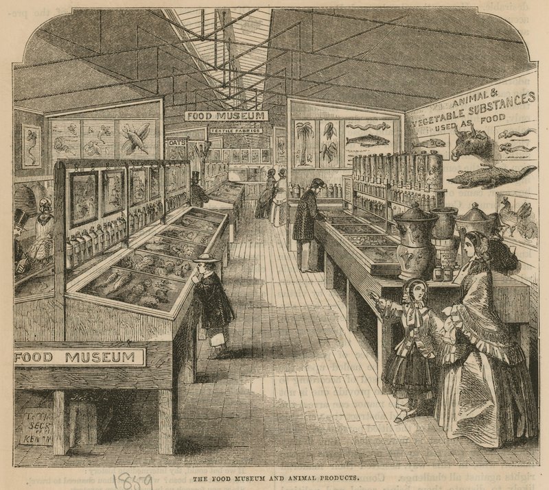 Het Voedselmuseum en Dierlijke Producten, South Kensington Museum door English School