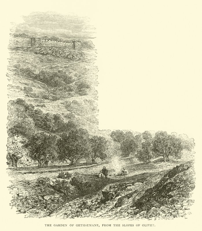 De Hof van Getsemane, vanaf de hellingen van Olivet door English School