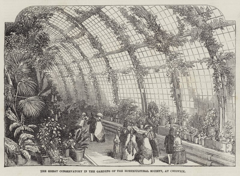 De grote kas in de tuinen van de Horticultural Society, in Chiswick (gravure) door English School