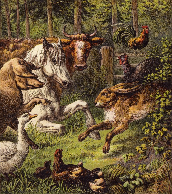 De haas en de schildpad (kleur litho) door English School