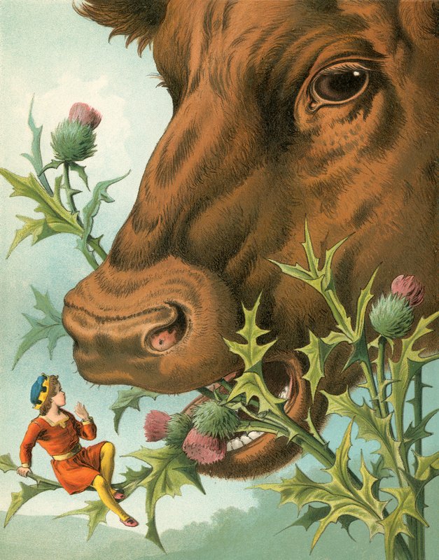 De geschiedenis van Klein Duimpje door English School