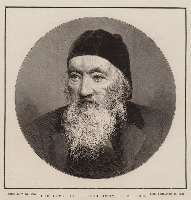 De overleden Sir Richard Owen, KCB, FRS (gravure) door English School