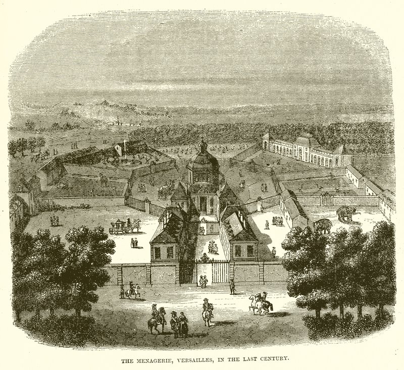 De menagerie, Versailles, in de vorige eeuw door English School
