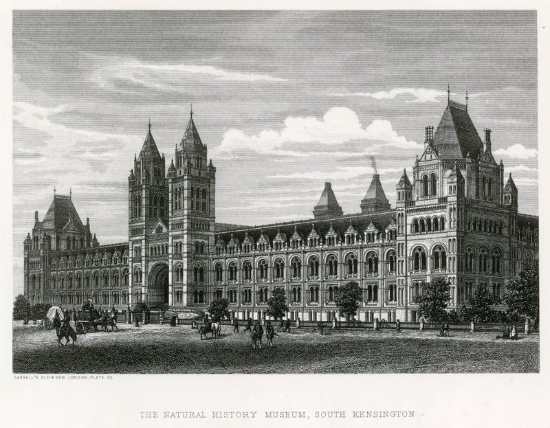 Het Natuurhistorisch Museum, 1881 door English School