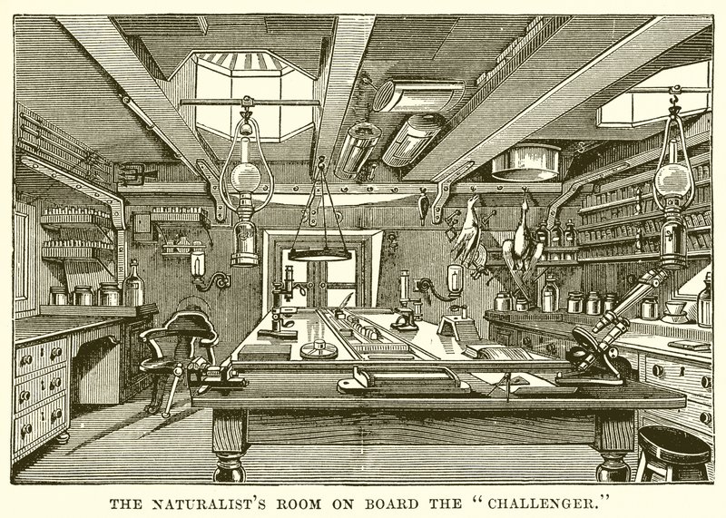 De kamer van de natuuronderzoeker aan boord van de Challenger door English School