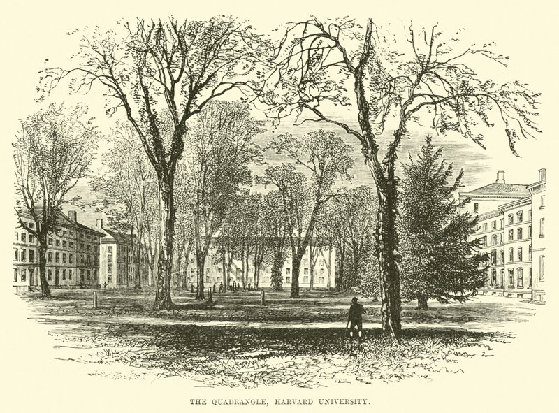 De Binnenplaats, Harvard University door English School