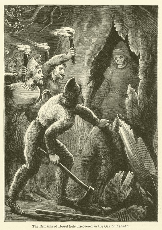 De overblijfselen van Howel Sele ontdekt in de eiken van Nannau (gravure) door English School