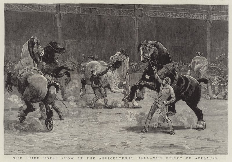 De Shire Horse Show in de Agricultural Hall, het effect van applaus door English School