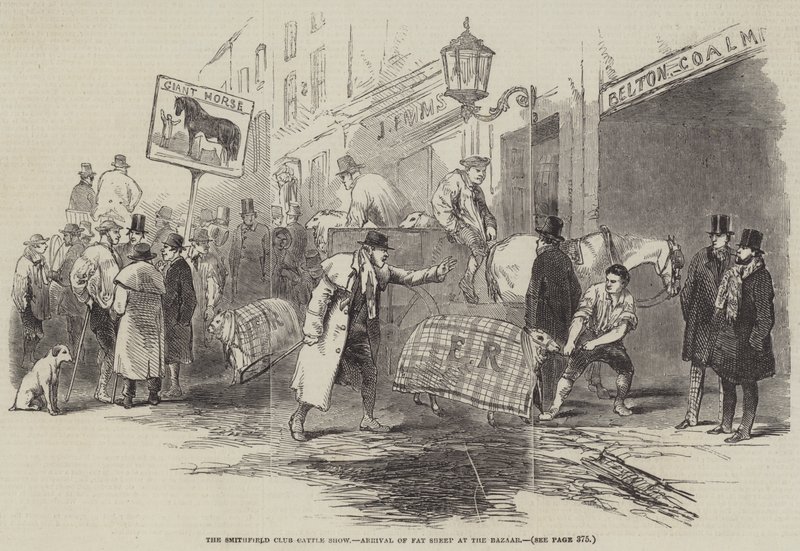 De Smithfield Club Vee Show, Aankomst van Vette Schapen bij de Bazaar (gravure) door English School