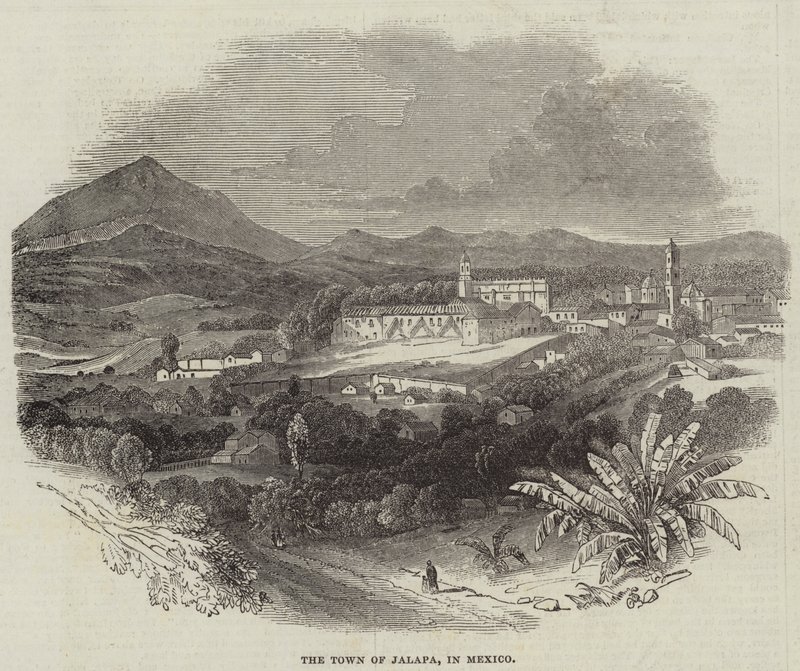 De stad Jalapa, in Mexico (gravure) door English School