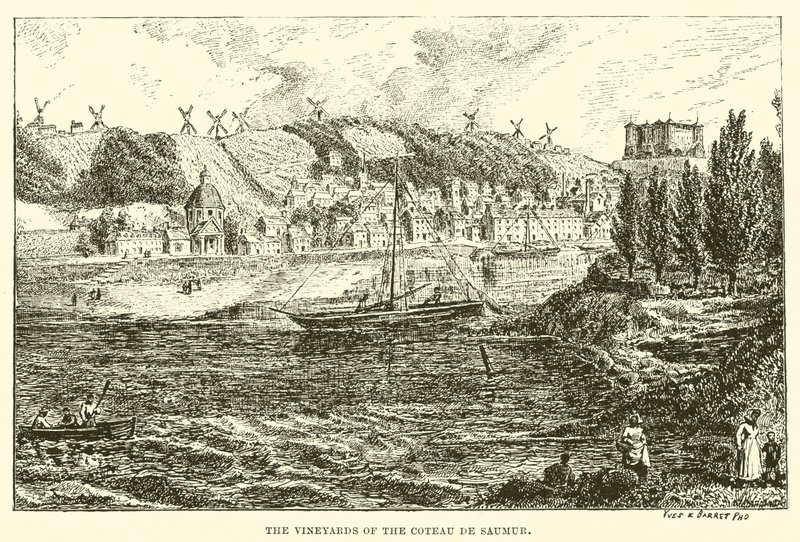 De wijngaarden van de Coteau de Saumur (gravure) door English School