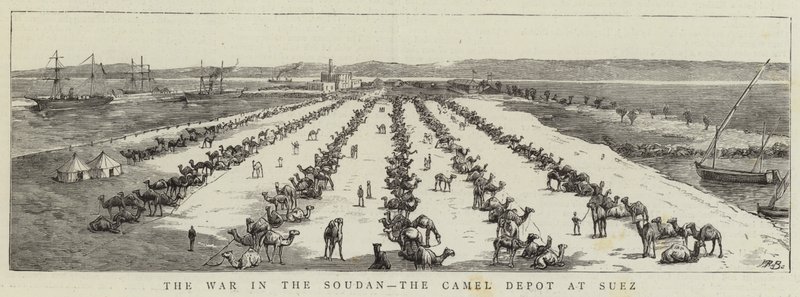 De Oorlog in de Soedan, het Kameeldepot in Suez (gravure) door English School