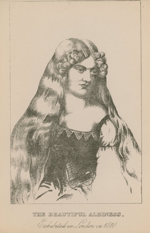 De mooie albino, tentoongesteld in Londen in 1810 door English School