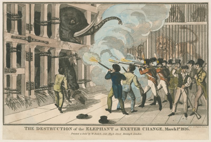 De vernietiging van de olifant bij Exeter Change, 1 maart 1826 door English School