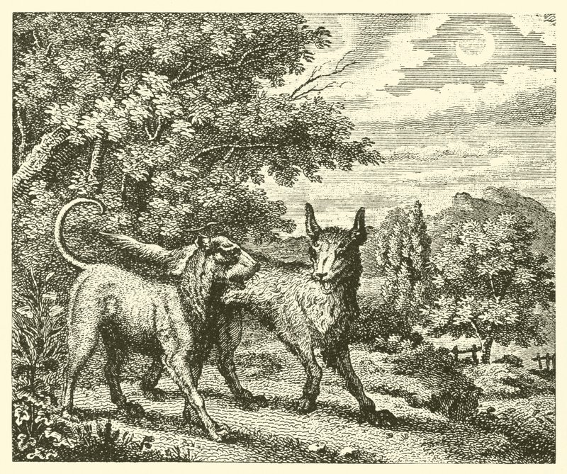 De hond en de wolf (gravure) door English School