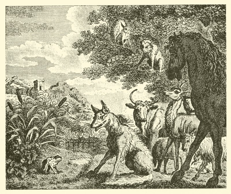 De kikker en de vos (gravure) door English School