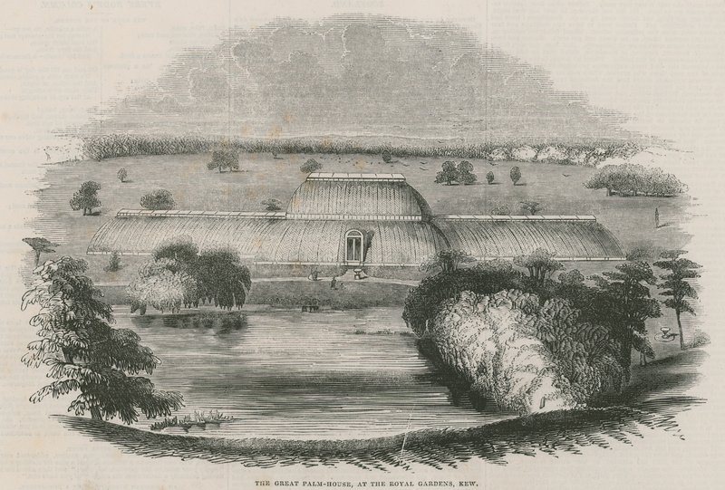 Het grote Palmhuis in de Koninklijke Tuinen, Kew, Londen door English School