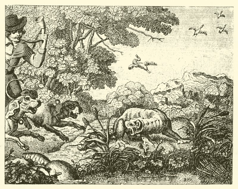 De opgejaagde bever (gravure) door English School