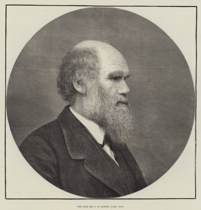 De wijlen Mr C R Darwin, FRS, LLD door English School