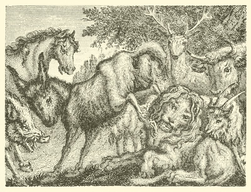 De oude leeuw (gravure) door English School