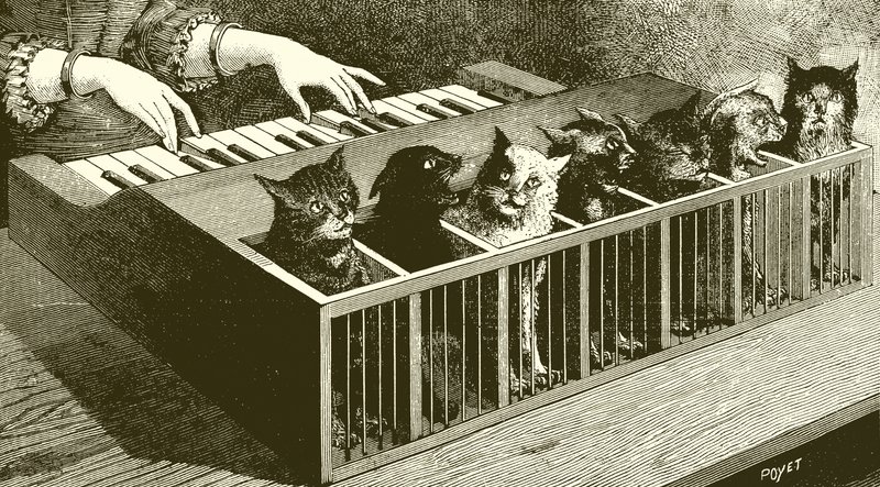 De piano van katten door English School
