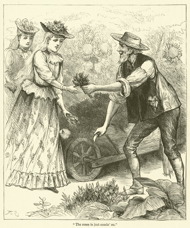 "De rozen komen eraan" (gravure) door English School