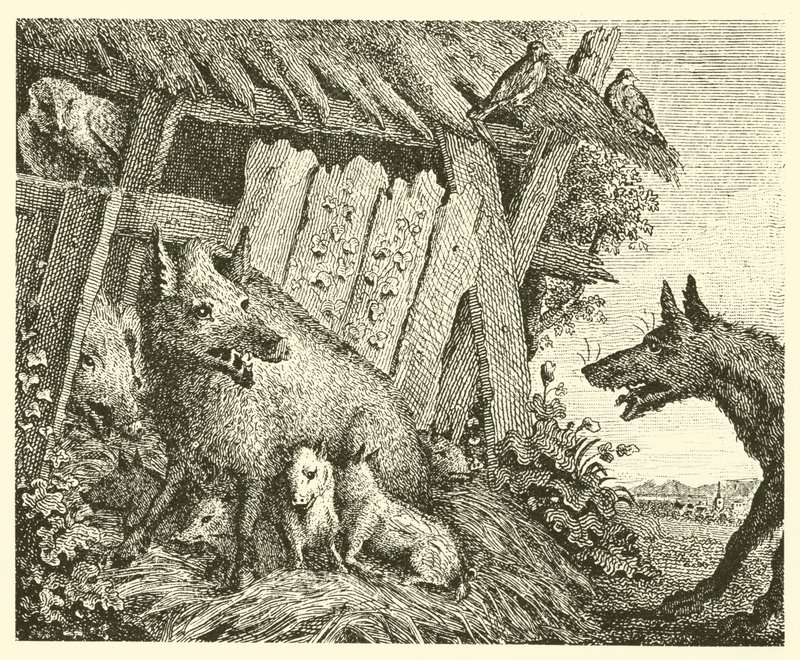 De zeug en de wolf (gravure) door English School