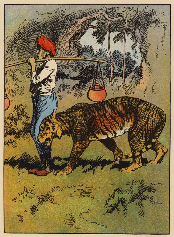 De tijger wrijft zich tegen het been van de man door English School