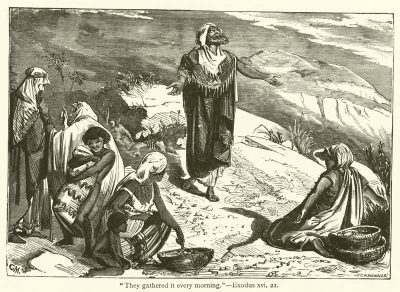 "Ze verzamelden het elke ochtend", Exodus, xvi, 21 door English School