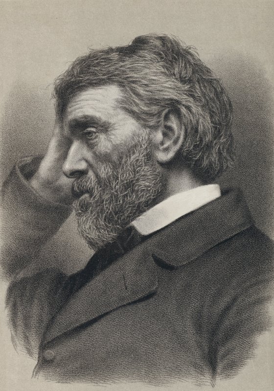 Thomas Carlyle door English School
