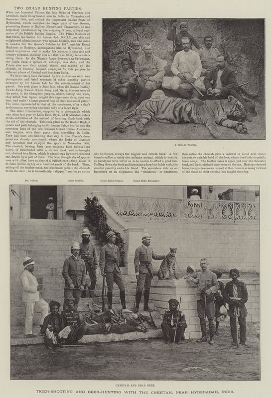 Tijgerjacht en hertenjacht met de cheeta, nabij Hyderabad, India door English School