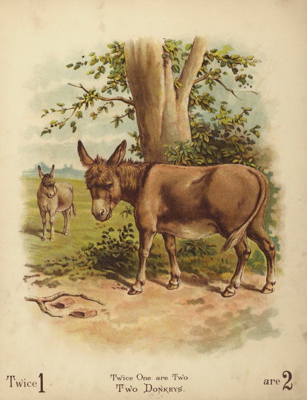 Twee ezels (chromolitho) door English School